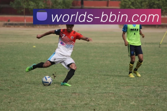 BBIN体育投注平台生态图